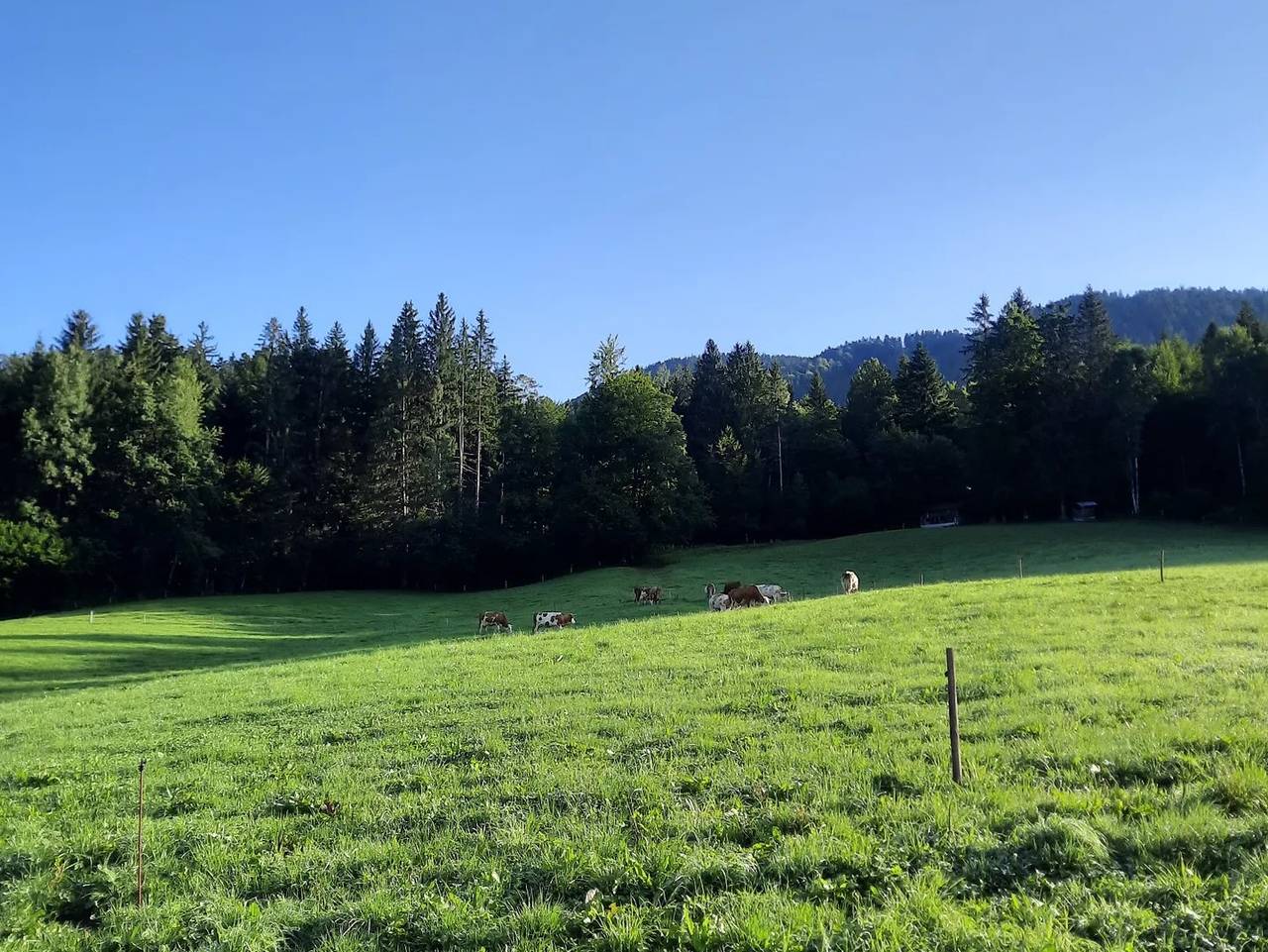 Gschwendter-Hof - Einzelzimmer in Siegsdorf, Bayerische Alpen