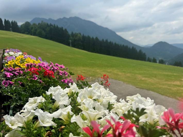 Urlaub am Moaserhof - Doppelzimmer "Hetzkogel" mit Balkon in Lunz am See, Mostviertel