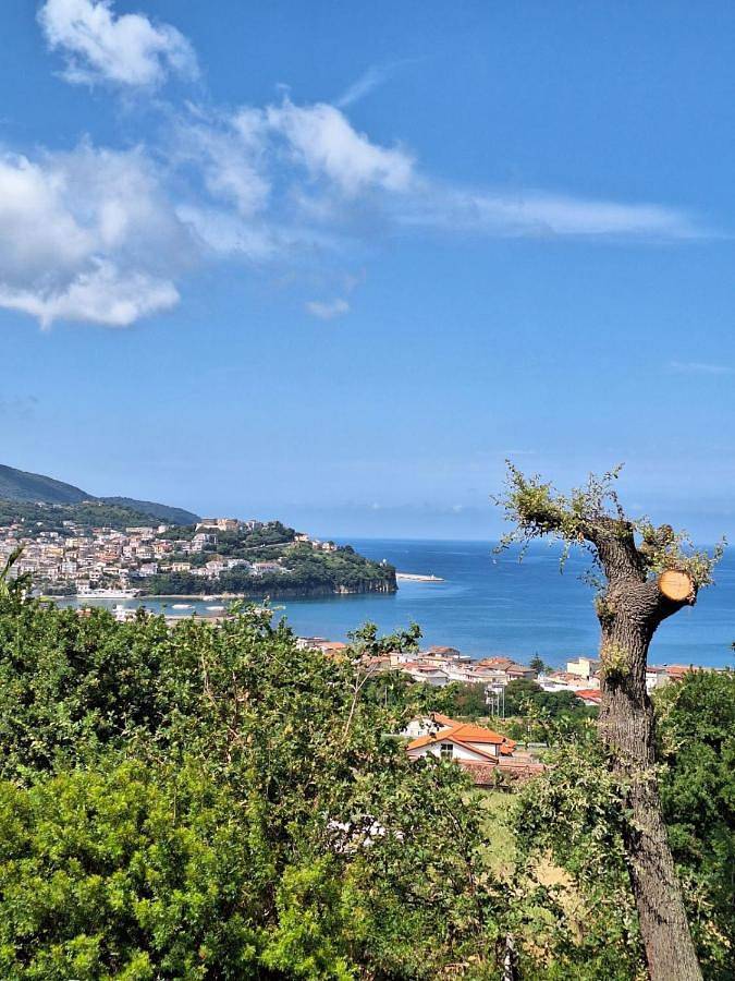 Ferienwohnung für 6 Personen, mit Ausblick und Garten - 1