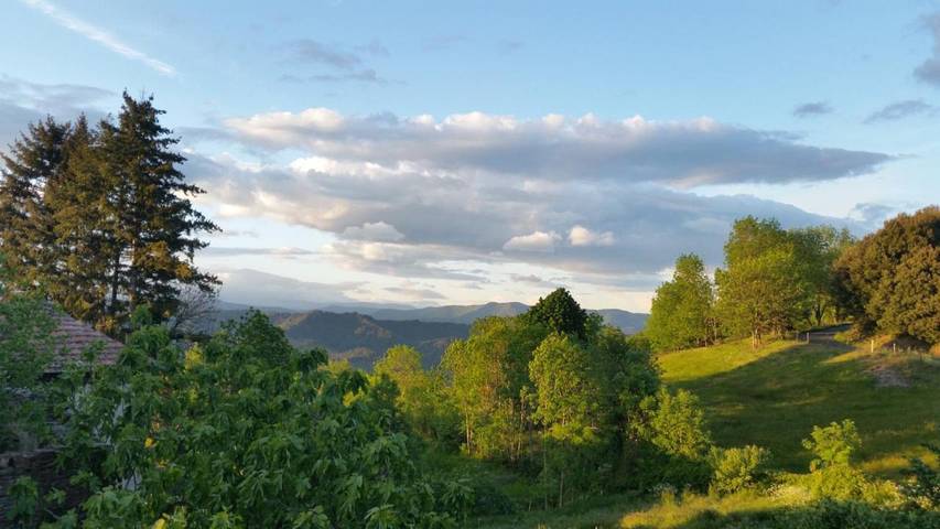 Location de vacances pour 10 personnes, avec jardin et vue, animaux acceptés à Moissac-Vallée-Française - 4