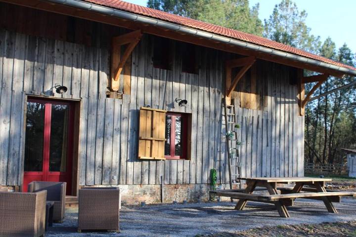 Location de vacances pour 10 personnes, avec jardin et piscine à Pissos - 2