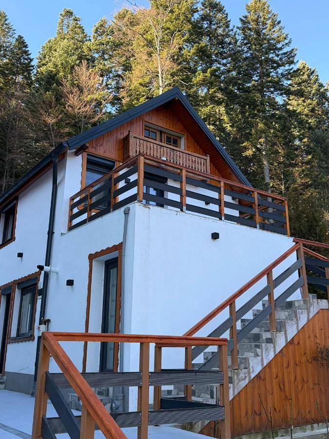 Gîte pour 4 personnes, avec vue et jardin, animaux acceptés à Sinaia