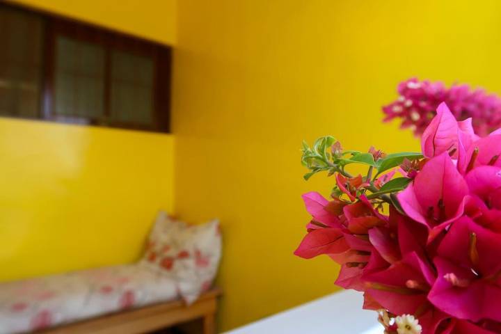 Chambre d’hôte pour 2 personnes, avec jardin et terrasse dans Praia - 3