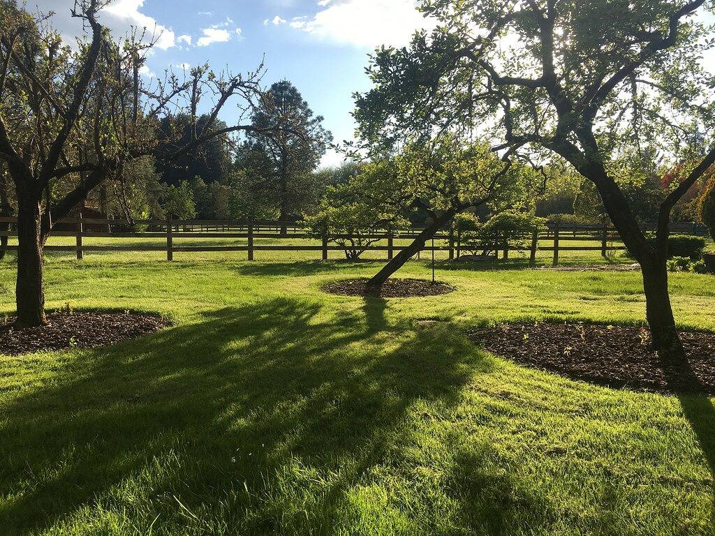 Bunkhouse Retreat in der Minto-Brown-Insel Salem Oregon in Salem (OR), Willamette Valley