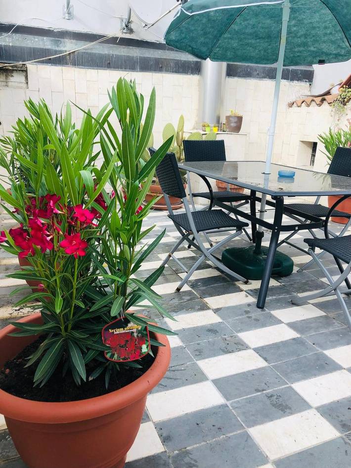 Holiday rental for 6 people, with hot tub, with pets in Verona