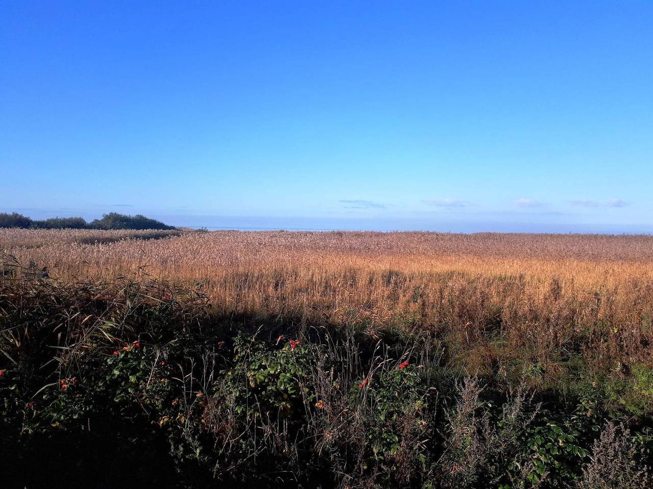 5 Personen Ferienhaus in Skjern in Skjern, Ringkøbing Fjord