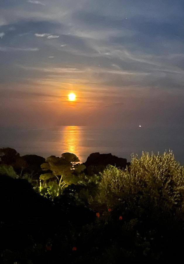 Gîte pour 4 personnes, avec piscine ainsi que vue et terrasse dans Plage de la Baumette