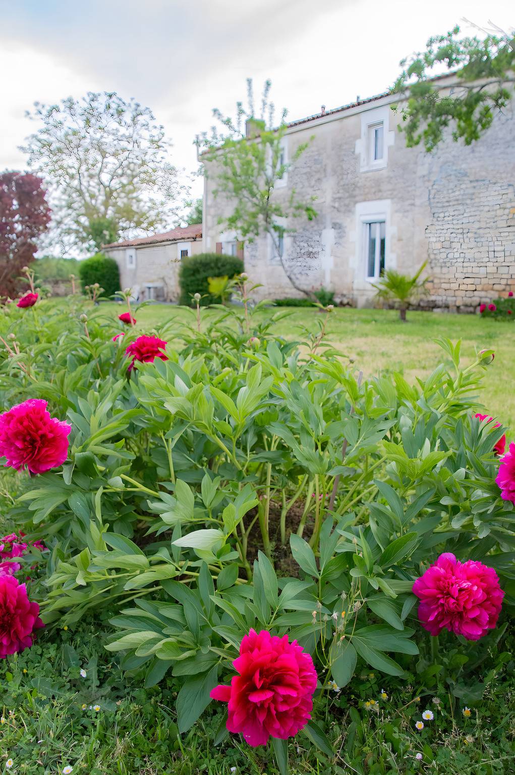 Gîte les Bougrines – Marais Poitevin, Südvendee in Fontaines (Vendée), Fontenay-le-Comte