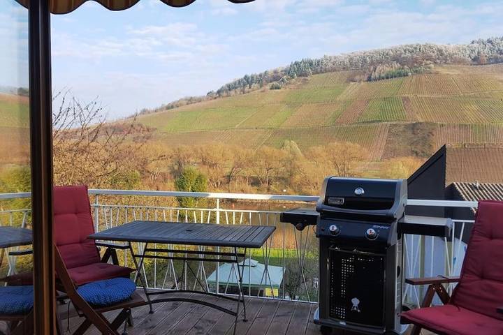 Ferienwohnung für 9 Personen, mit Ausblick und Sauna sowie Garten in Reil - 3