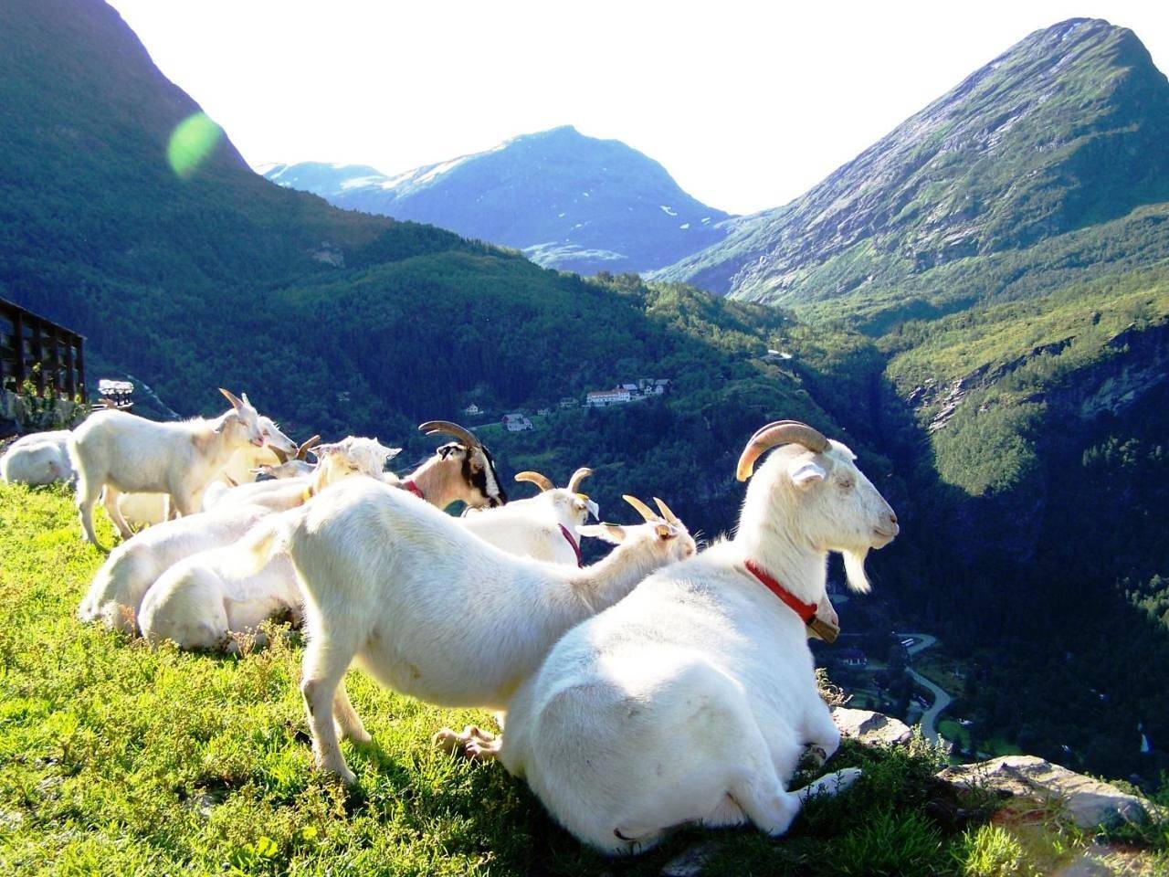 Westerås Gard in Geiranger, Stranda