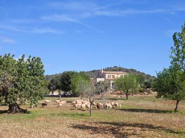 Ferienhaus in Calonge (Mallorca), Santanyí für 8 