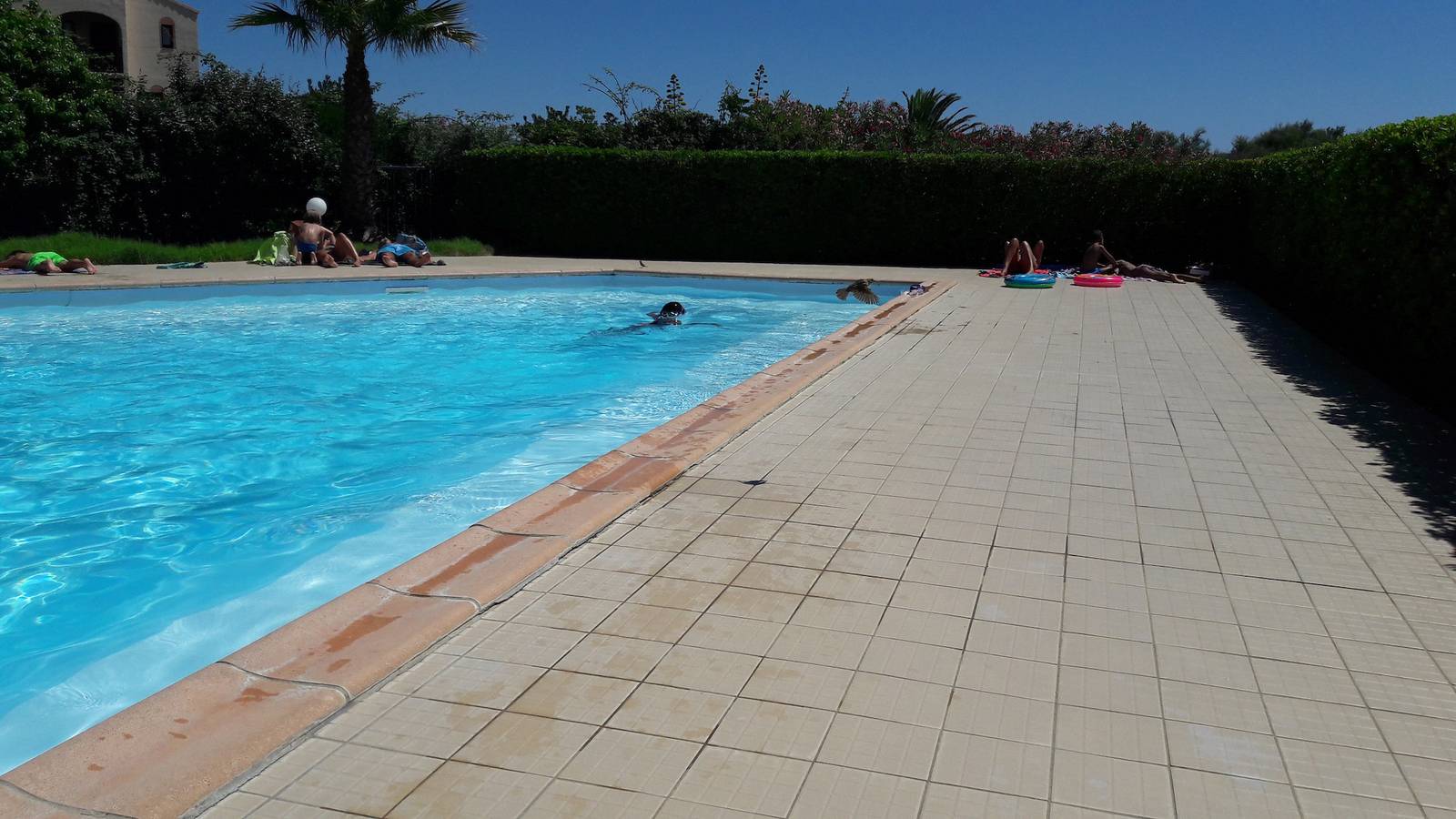 Appartement entier, St Cyprien Bel appartement 3 étoiles vue sur la mer in Saint-Cyprien, Côte d'Améthyste