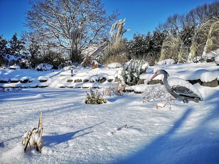 Bungalow für 8 Personen, mit Garten und Terrasse, kinderfreundlich in Sachsen - 4