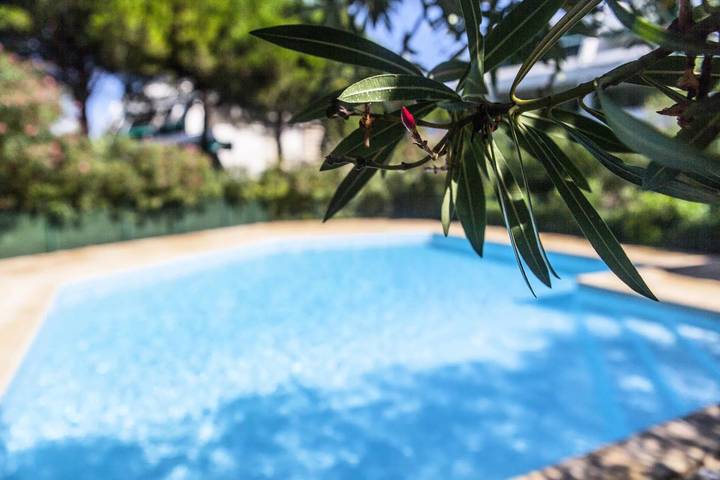 Gîte pour 6 personnes, avec jardin et piscine à La Grande-Motte - 4