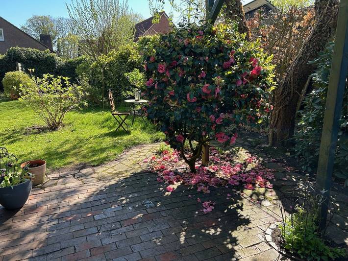 Ferienhaus für 5 Personen, mit Garten und Terrasse in Leer - 4