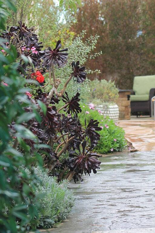 199 Us-Dollar. 00 A Night ******** $ 199 A Night ********** Heute Buchen - 15. November in Ventura Beach, Ventura