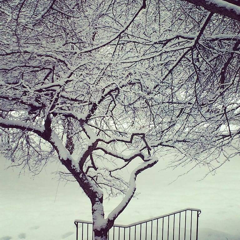 Woodstock Dorf Carriage House in Woodstock (VT), Windsor County