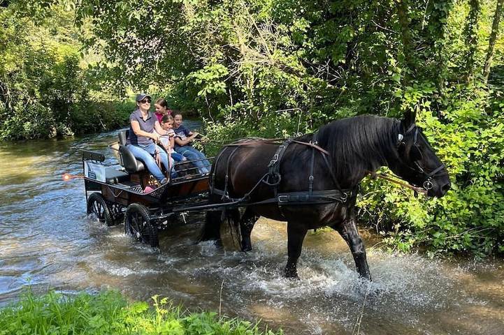 Gîte pour 14 personnes, animaux acceptés à Mentheville