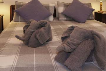 Glamping for 5 People in Minehead Without, Exmoor, Photo 2