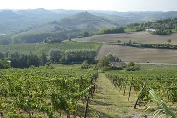 Chambre d’hôte pour 4 personnes, avec jardin dans Piémont