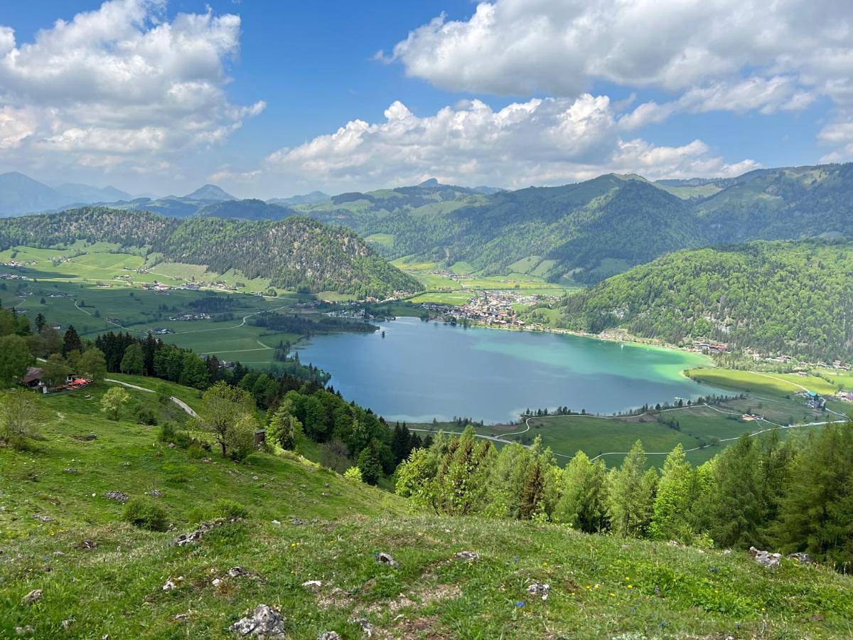 Ganze Wohnung, Herzi Chalet - top ausgestattet, neu, chic und sehr gemütlich in Walchsee, Kaisergebirge