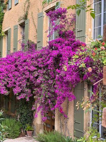 Chambre d’hôte pour 2 personnes, avec vue et terrasse ainsi que piscine et jardin à Orange - 2