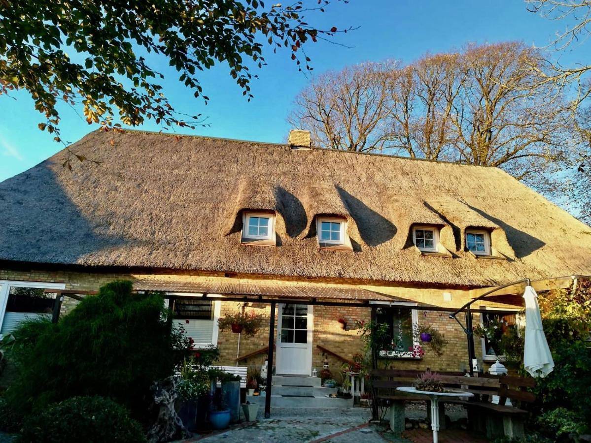 Ganze Wohnung, Kreatives Wohnen unter Reet ruhig und doch zentral in Schwabstedt, Eider-Treene-Sorge