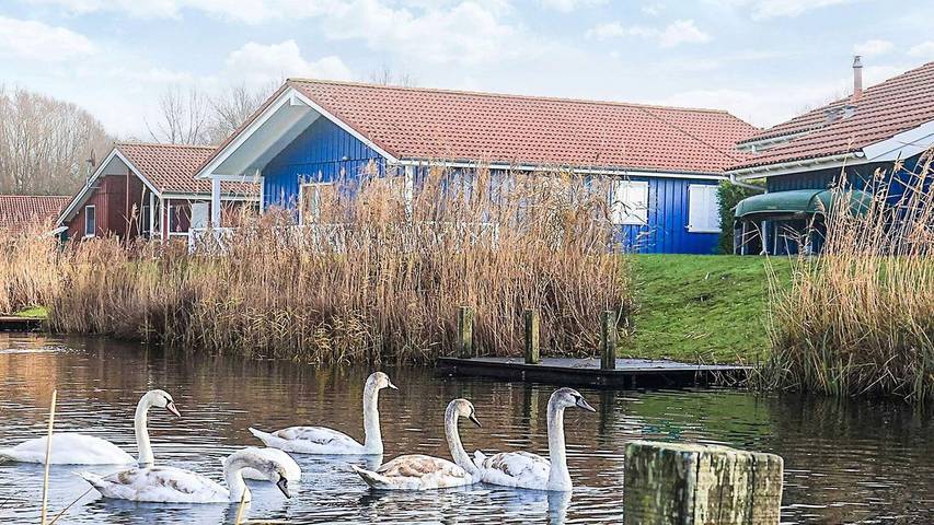 Ferienhaus für 11 Personen, mit Pool und Whirlpool sowie Sauna, mit Haustier in Otterndorf
