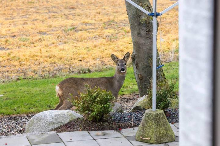 Ferienhaus für 9 Personen in Ærøskøbing - 3