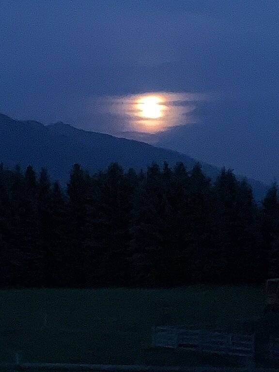 Beautiful Soul Rejuvenating Montana Cabin And Location in Flathead Nationalwald