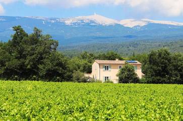 Cottage pour 6 personnes, avec piscine et jardin ainsi que terrasse et vue, animaux acceptés à Flassan