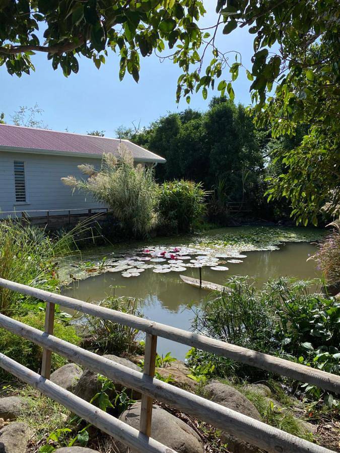 Location de vacances pour 2 personnes, avec jardin et piscine, animaux acceptés à Saint-François - 4