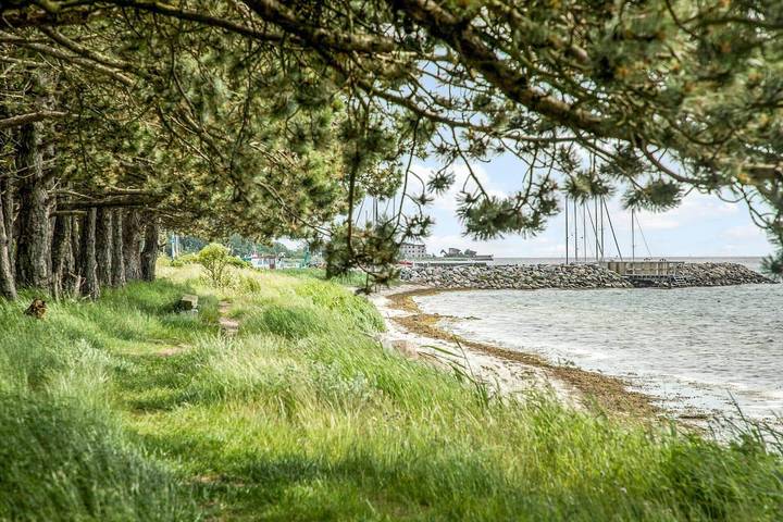 Ferienhaus für 4 Personen, mit Terrasse auf Møn - 2