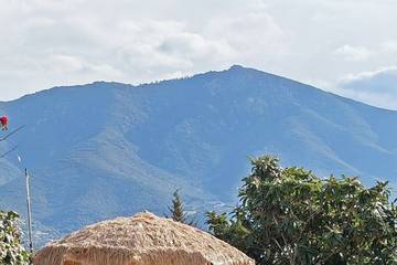 Location de vacances pour 4 personnes, avec terrasse, animaux acceptés à Sarrola-Carcopino