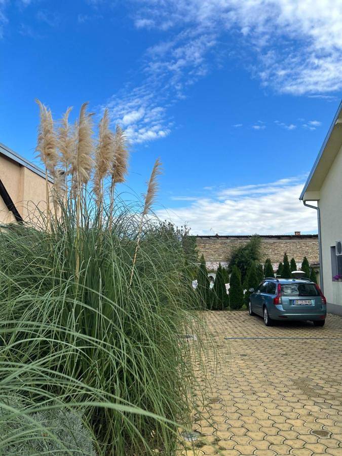 Gîte pour 5 personnes, avec jardin à Novi Sad - 3