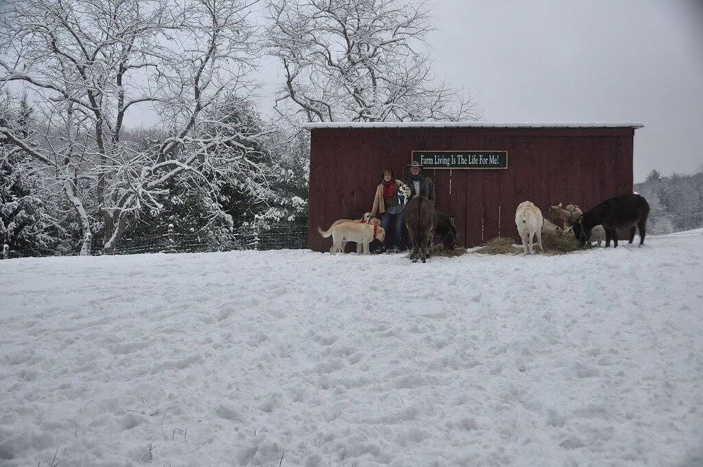 Farmhouse on Little Peak Creek Farm! in Blue Ridge Parkway, Ashe County