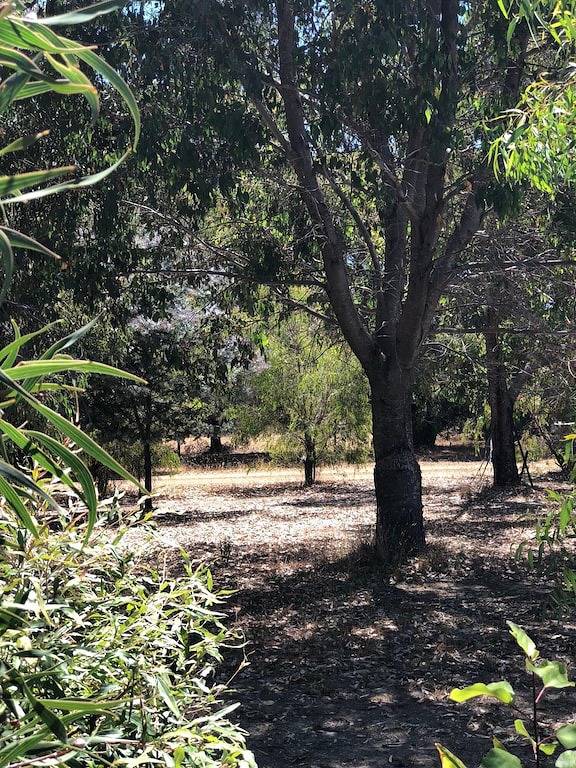 Location de vacances pour 12 personnes, avec terrasse et jardin dans Margaret River - 3