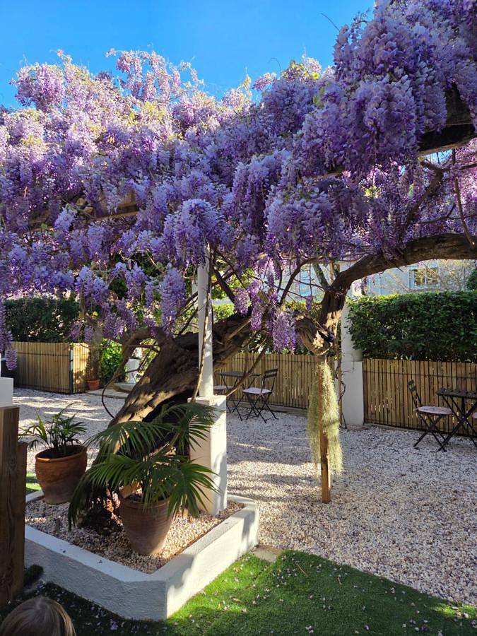 Double Room with Garden View in Roquebrune-sur-Argens, Côte méditerranéenne (France)