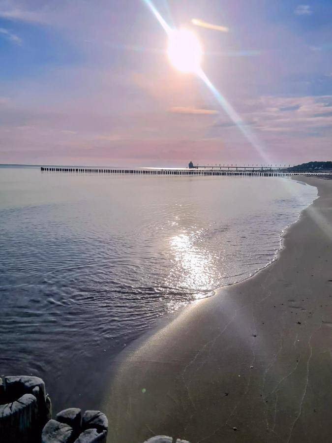 Bungalow für 2 Personen, mit Garten und Ausblick in Zingst - 2