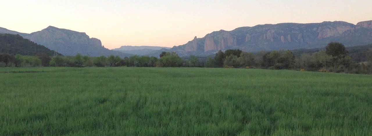 Casa rural para 4 personas, con vistas y jardín en Aragón - 3