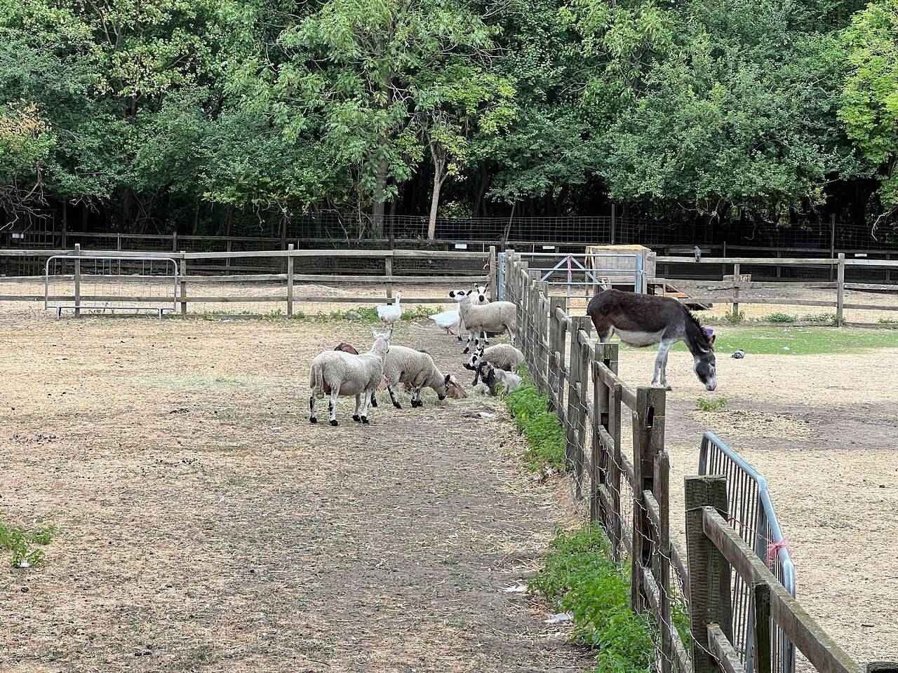 Entire holiday apartment, 2 Bedroom Flat - Sleeps 4 - near Shoreditch in Tower Hamlets, London