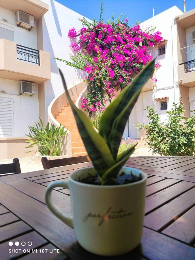 Gîte pour 2 personnes, avec vue et jardin, adapté aux familles dans Amoudara - 3