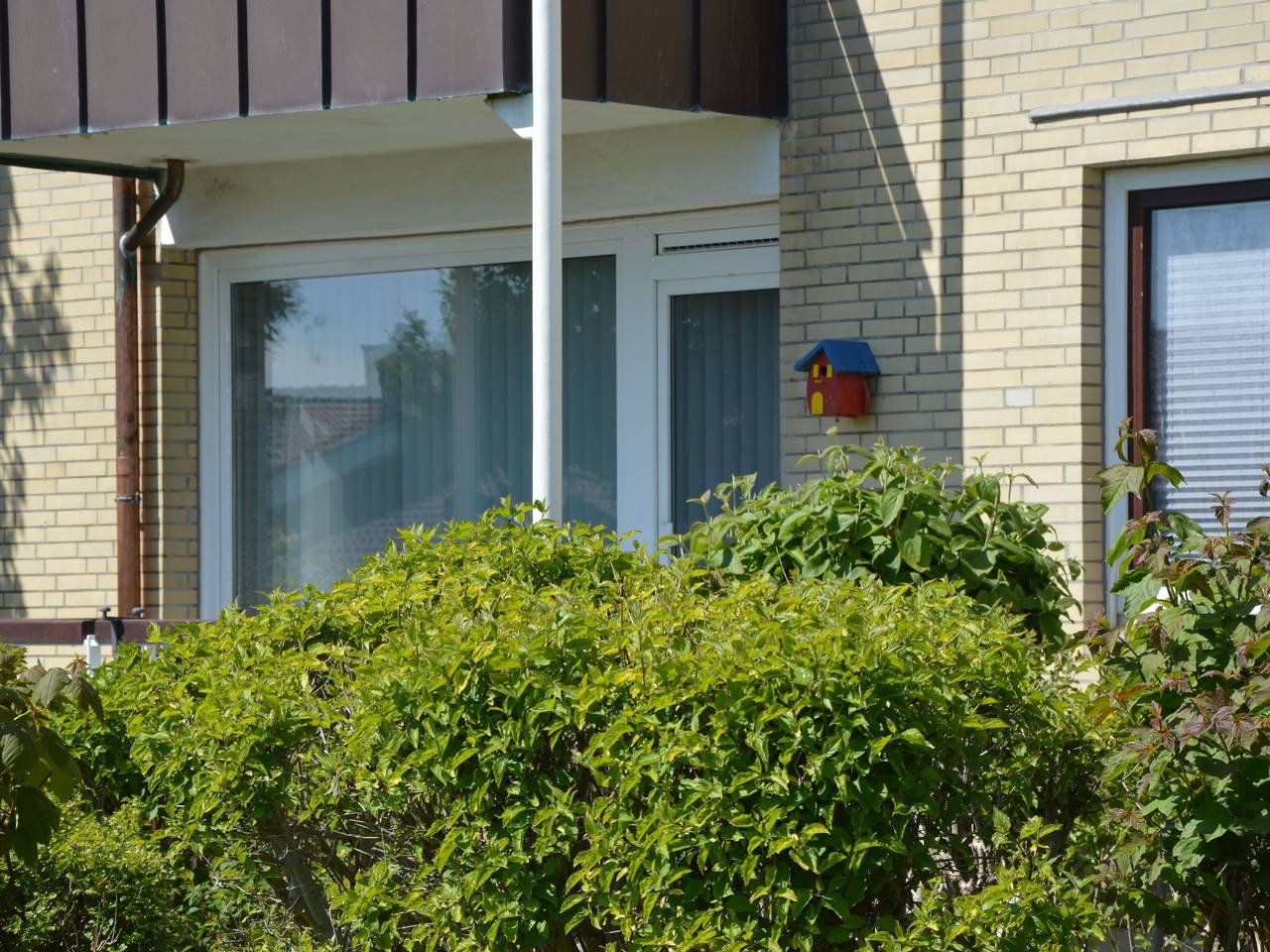 Ganze Wohnung, Gemütliche Ferienwohnung in Büsum in Büsum, Dithmarschen