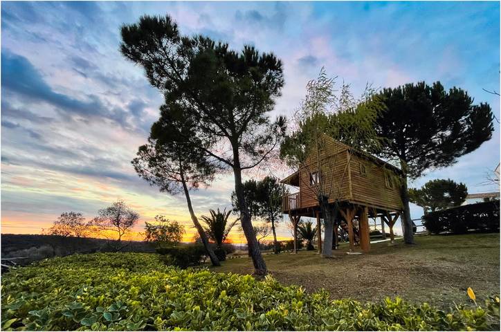 Casa rural para 10 personas, con jardín en Sierra Norte de Sevilla - 4
