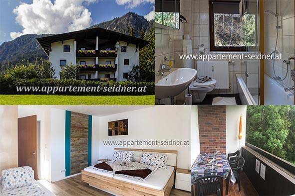 Ganze Ferienwohnung, Appartement 3 in Angerberg, Kaisergebirge