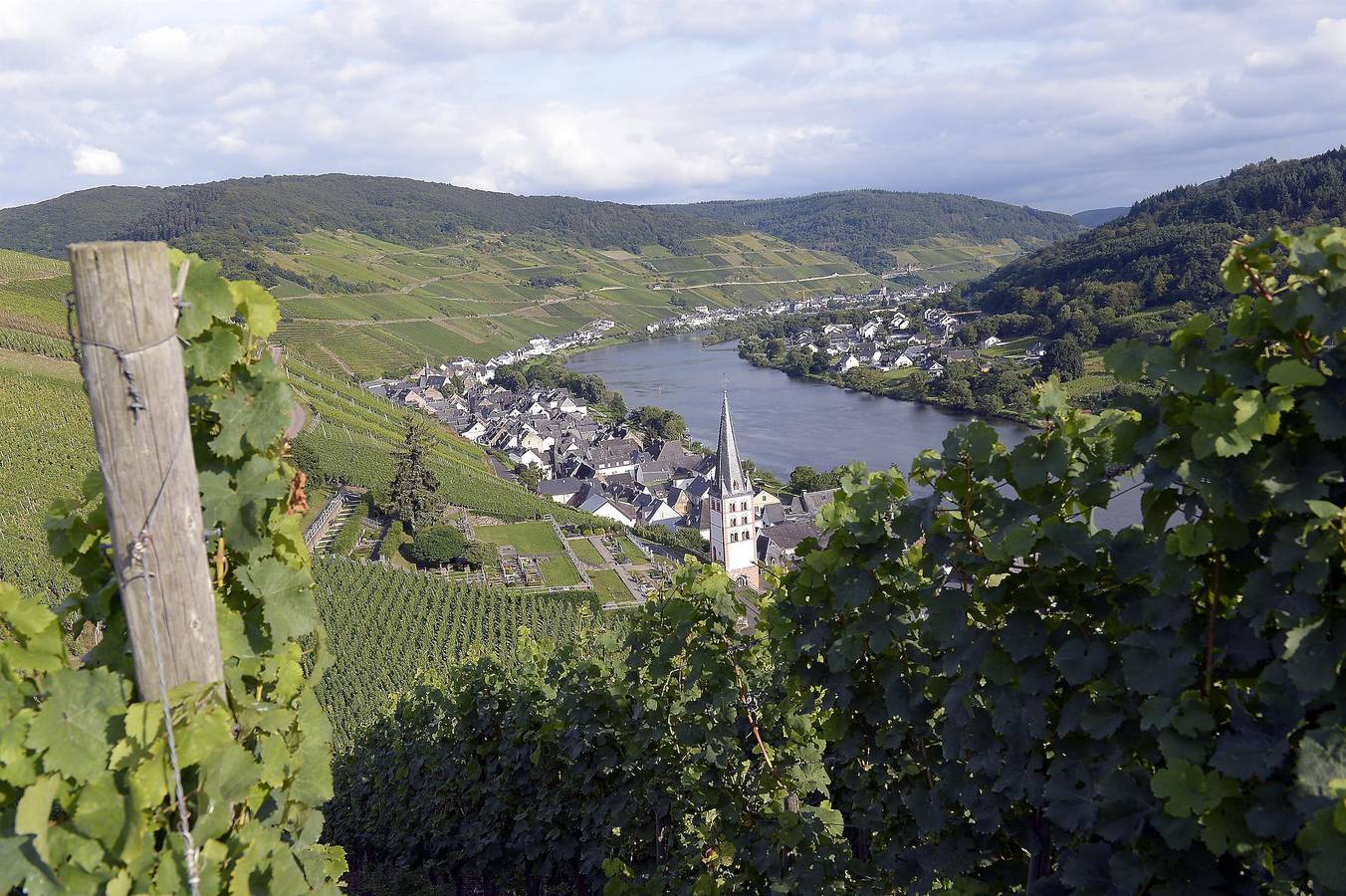 Entire holiday apartment, Weingut &amp; Gästehaus Otto Melchiors in Zell Stadt (Mosel), Zell (Mosel)