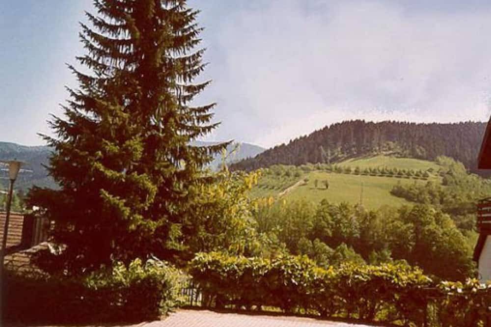 Ganze Wohnung, Ferienwohnung, 90qm, 2 Schlafzimmer, max. 4 Personen in Bad Peterstal-Griesbach, Mittlerer Schwarzwald