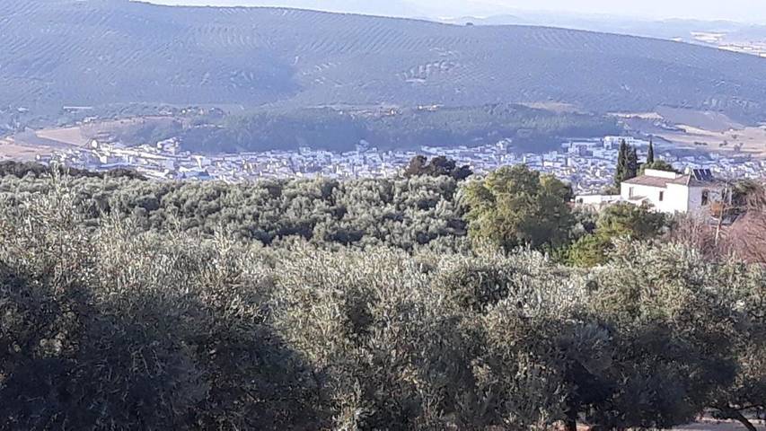 Casa rural para 10 personas, con Balcón y Terraza además de Jardín y Piscina en Villanueva del Rosario - 2
