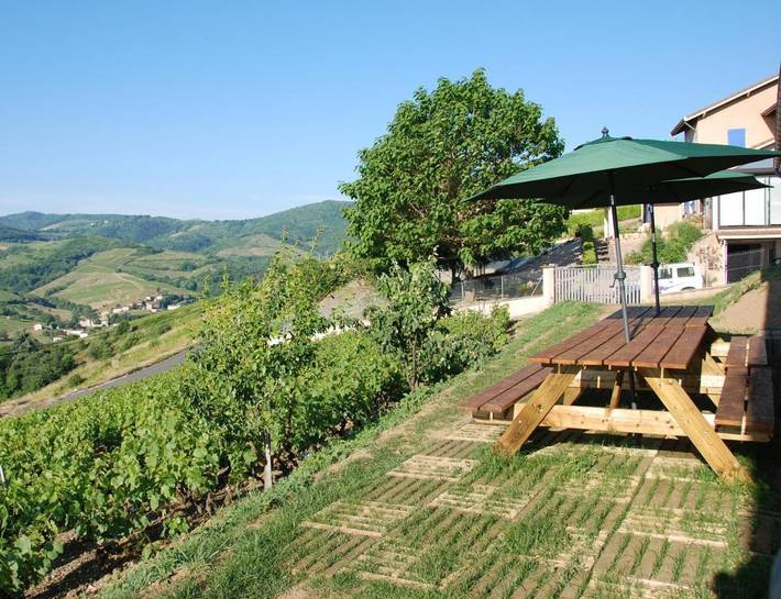 Gîte pour 12 personnes, avec jardin et vue à Vaux-en-Beaujolais