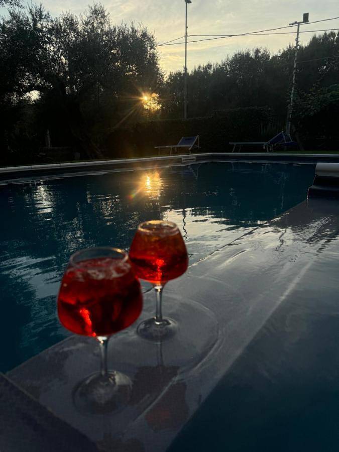 B&B Oliveto in Caserta, Provincia di Caserta